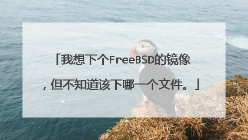 我想下个FreeBSD的镜像,但不知道该下哪一个文件。
