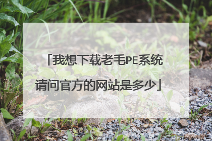 我想下载老毛PE系统请问官方的网站是多少
