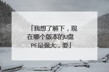我想了解下,现在哪个版本的U盘PE最强大,要