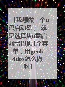 我想做一个u盘启动盘, 就是选择从u盘启动后出现几个菜单,用grub4dos怎么做呀