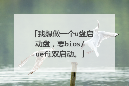 我想做一个u盘启动盘,要bios/uefi双启动。