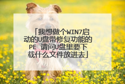 我想做个WIN7启动的U盘带修复功能的PE 请问U盘里要下载什么文件放进去