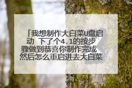 我想制作大白菜U盘启动 下了个4.1的按步骤做到恭喜你制作完成 然后怎么重启进去大白菜的那个界面啊