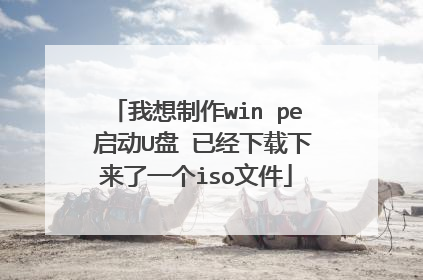 我想制作win pe 启动U盘 已经下载下来了一个iso文件