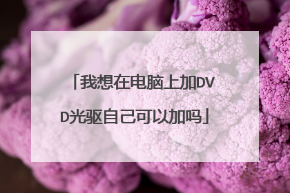 我想在电脑上加DVD光驱自己可以加吗