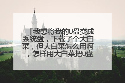 我想将我的U盘变成系统盘，下载了个大白菜，但大白菜怎么用啊，怎样用大白菜把U盘设置成系统盘啊