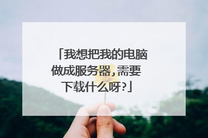 我想把我的电脑做成服务器,需要下载什么呀?