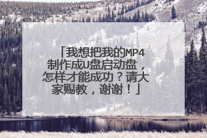 我想把我的MP4制作成U盘启动盘，怎样才能成功？请大家赐教，谢谢！
