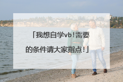 我想自学vb!需要的条件请大家指点!