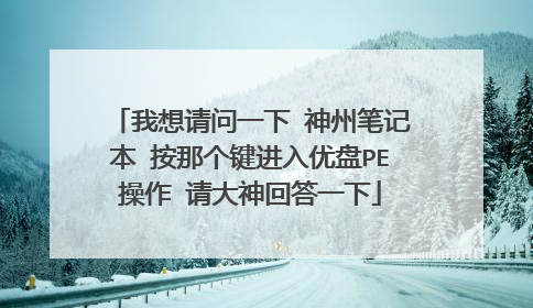 我想请问一下 神州笔记本 按那个键进入优盘PE操作 请大神回答一下