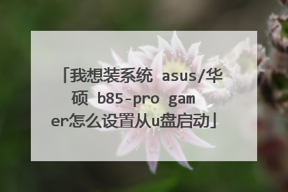 我想装系统 asus/华硕 b85-pro gamer怎么设置从u盘启动