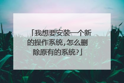 我想要安装一个新的操作系统,怎么删除原有的系统?
