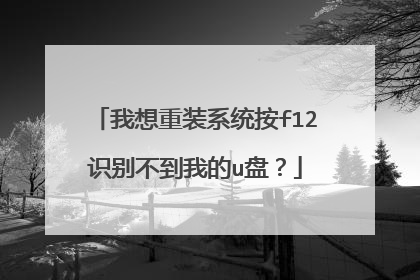 我想重装系统按f12识别不到我的u盘?