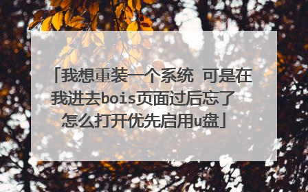 我想重装一个系统 可是在我进去bois页面过后忘了怎么打开优先启用u盘