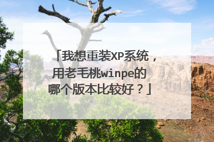 我想重装XP系统,用老毛桃winpe的哪个版本比较好?