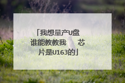 我想量产U盘 谁能教教我 芯片是U163的