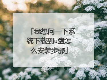 我想问一下系统下载到u盘怎么安装步骤