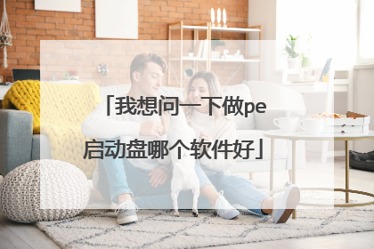 我想问一下做pe启动盘哪个软件好
