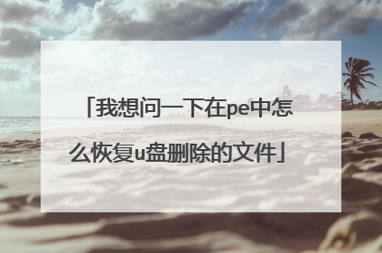 我想问一下在pe中怎么恢复u盘删除的文件
