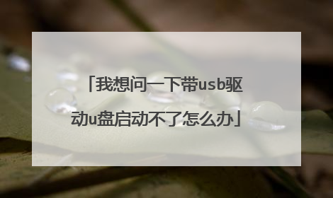 我想问一下带usb驱动u盘启动不了怎么办