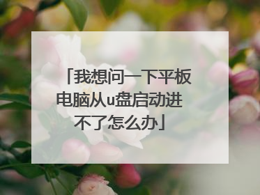 我想问一下平板电脑从u盘启动进不了怎么办