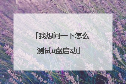 我想问一下怎么测试u盘启动