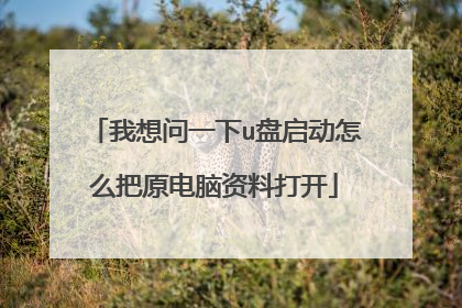 我想问一下u盘启动怎么把原电脑资料打开