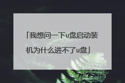 我想问一下u盘启动装机为什么进不了u盘