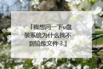 我想问一下u盘装系统为什么找不到镜像文件?