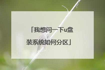 我想问一下u盘装系统如何分区