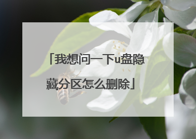 我想问一下u盘隐藏分区怎么删除