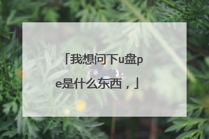 我想问下u盘pe是什么东西,