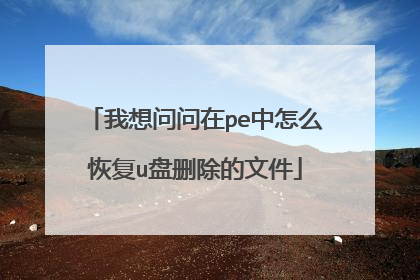 我想问问在pe中怎么恢复u盘删除的文件
