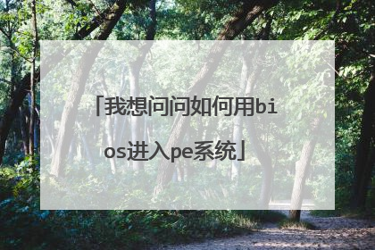 我想问问如何用bios进入pe系统