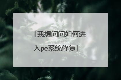 我想问问如何进入pe系统修复