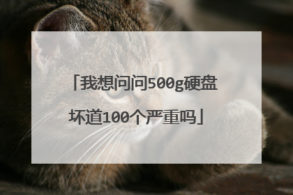 我想问问500g硬盘坏道100个严重吗