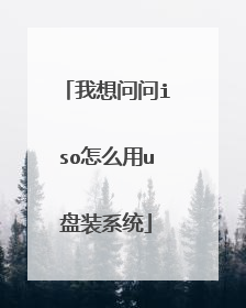 我想问问iso怎么用u盘装系统