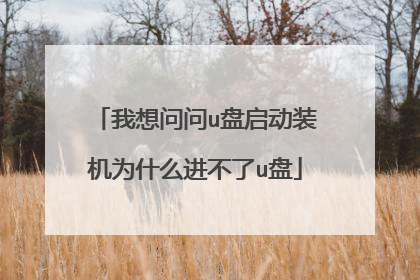 我想问问u盘启动装机为什么进不了u盘