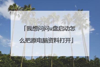我想问问u盘启动怎么把原电脑资料打开