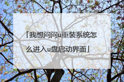 我想问问u重装系统怎么进入u盘启动界面