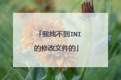 我找不到INI的修改文件的