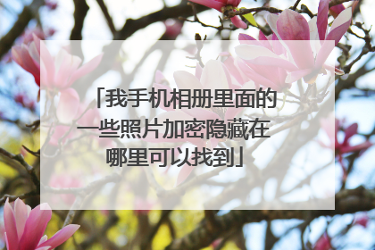 我手机相册里面的一些照片加密隐藏在哪里可以找到