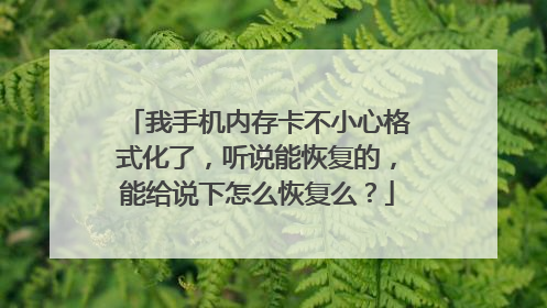 我手机内存卡不小心格式化了,听说能恢复的,能给说下怎么恢复么?