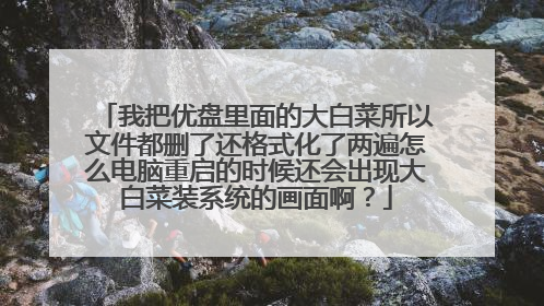 我把优盘里面的大白菜所以文件都删了还格式化了两遍怎么电脑重启的时候还会出现大白菜装系统的画面啊？