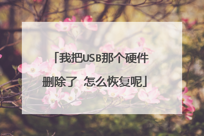 我把USB那个硬件删除了 怎么恢复呢