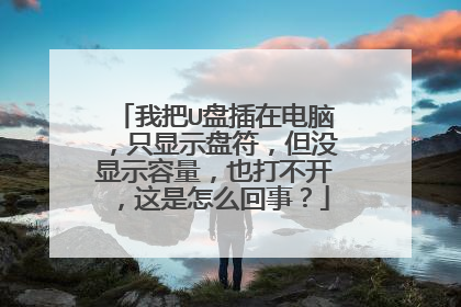 我把U盘插在电脑，只显示盘符，但没显示容量，也打不开，这是怎么回事？