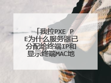 我拉PXE PE为什么服务器已分配给终端IP和显示终端MAC地址,但终端一点没有变化呀!和没有服务器一样!