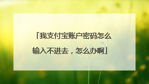 我支付宝账户密码怎么输入不进去,怎么办啊