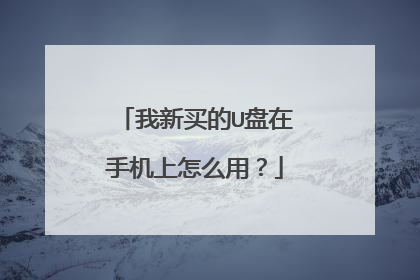 我新买的U盘在手机上怎么用?