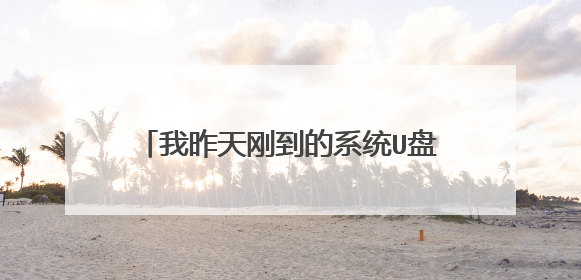 我昨天刚到的系统U盘,安装后电脑启动不了了,有没有安装教程,安装之前要设置什么吗?
